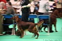 Crufts2011 127